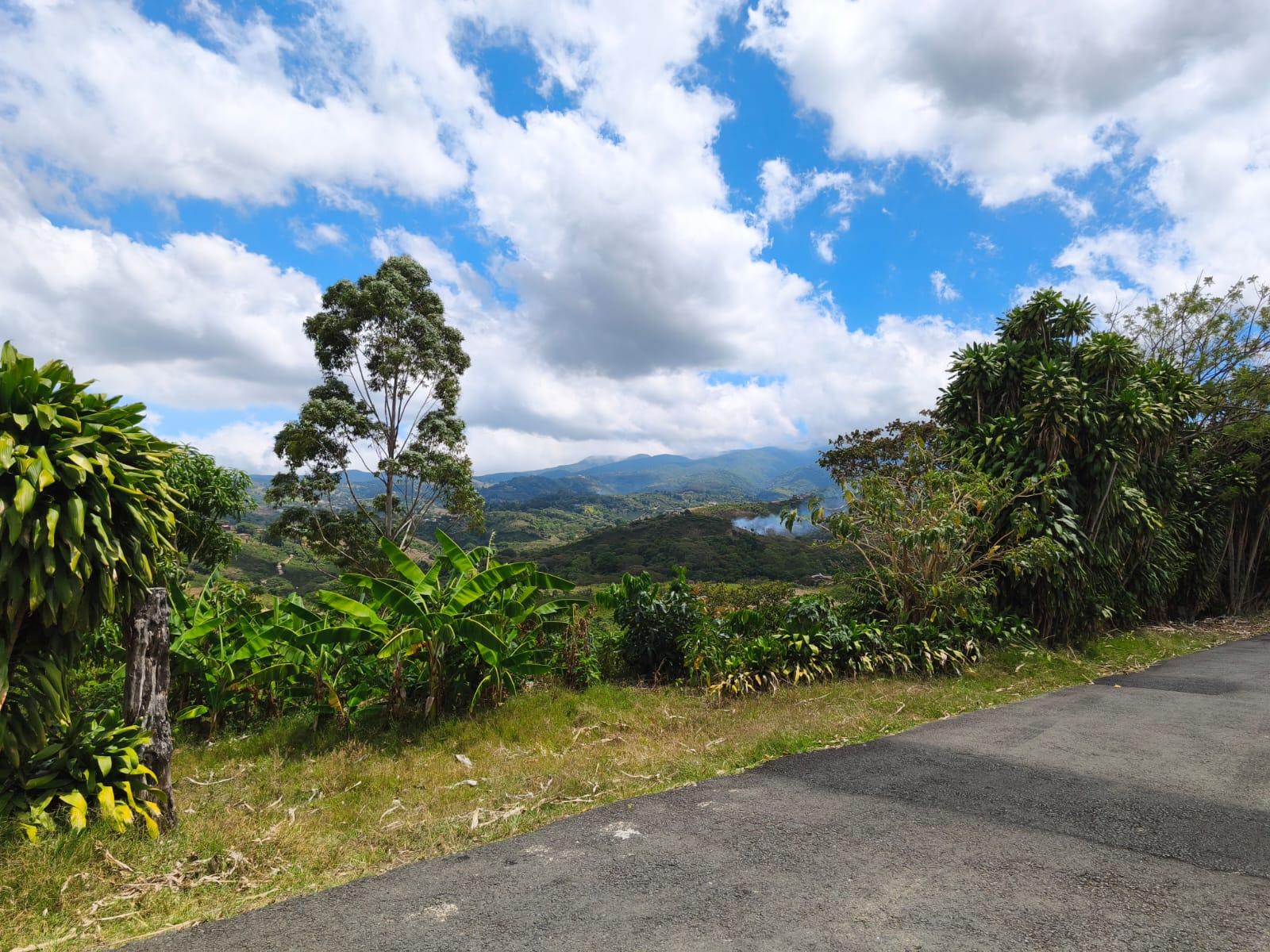 Land at San Isidro