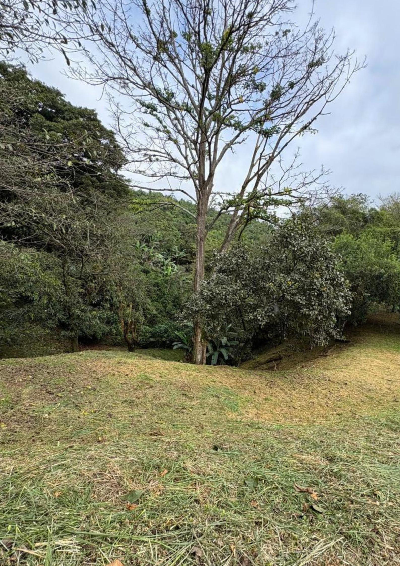 Terreno en Hacienda Natura