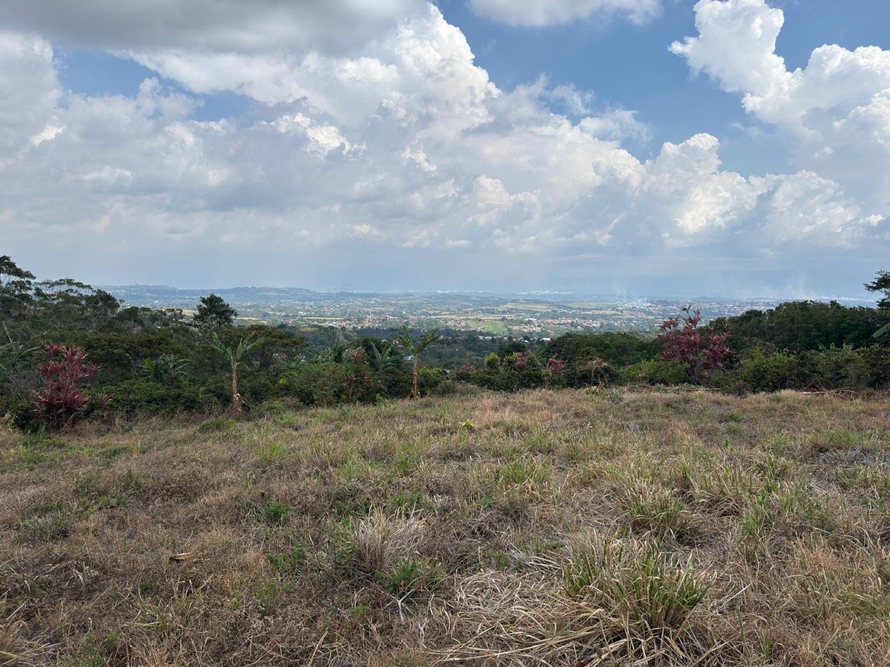 Land at Bolívar