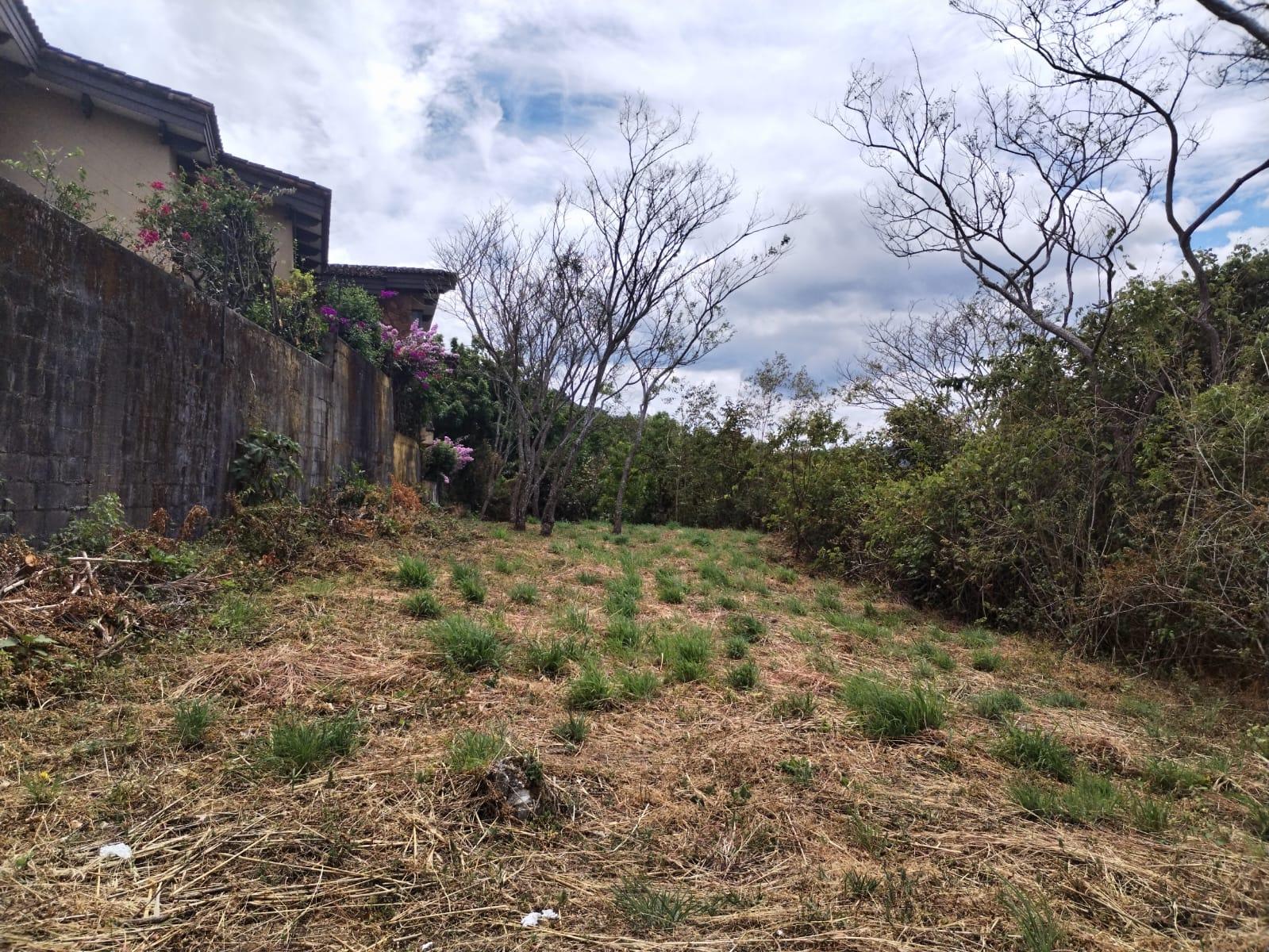 Land at Colón