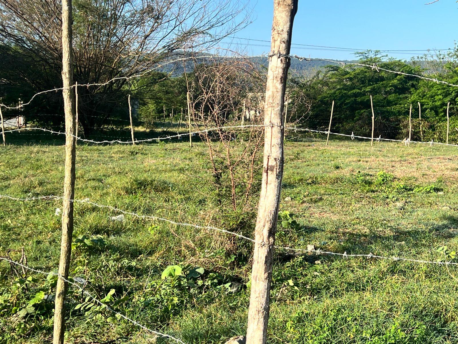 Terreno Residencial Don Pedro