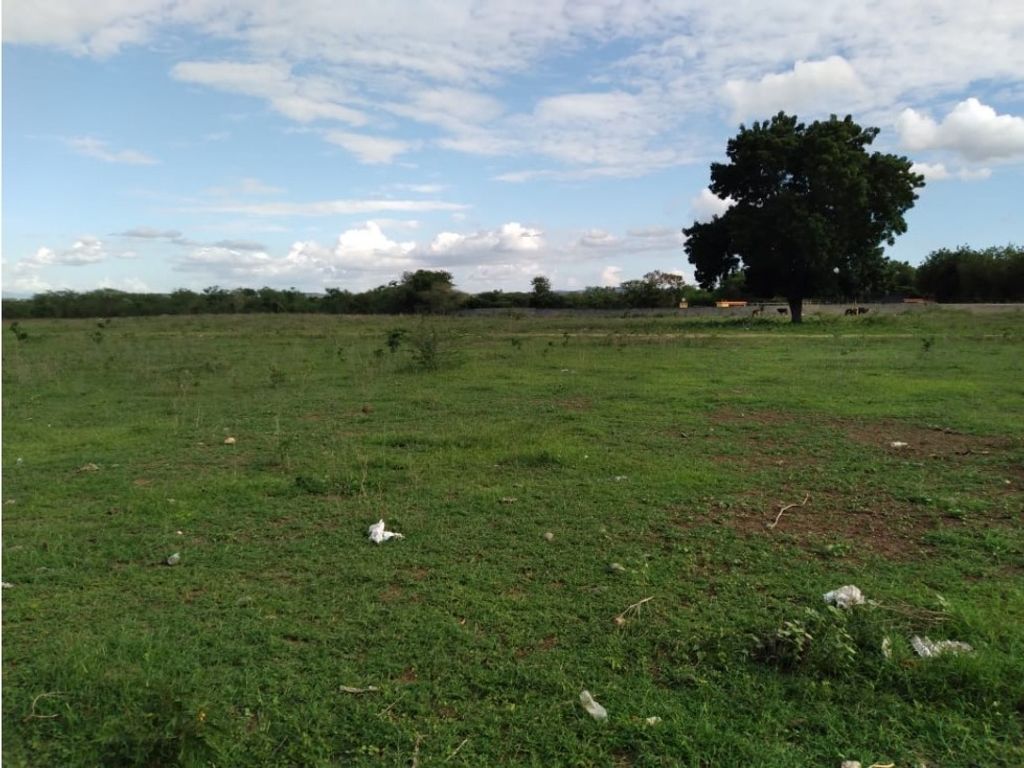 Terreno 14,000 Mts2 Oportunidad en Villa Gonzalez