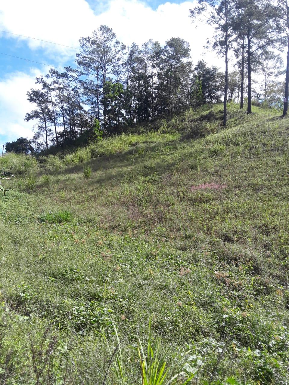 Terreno Esquinero en Corocitos, Jarabacoa