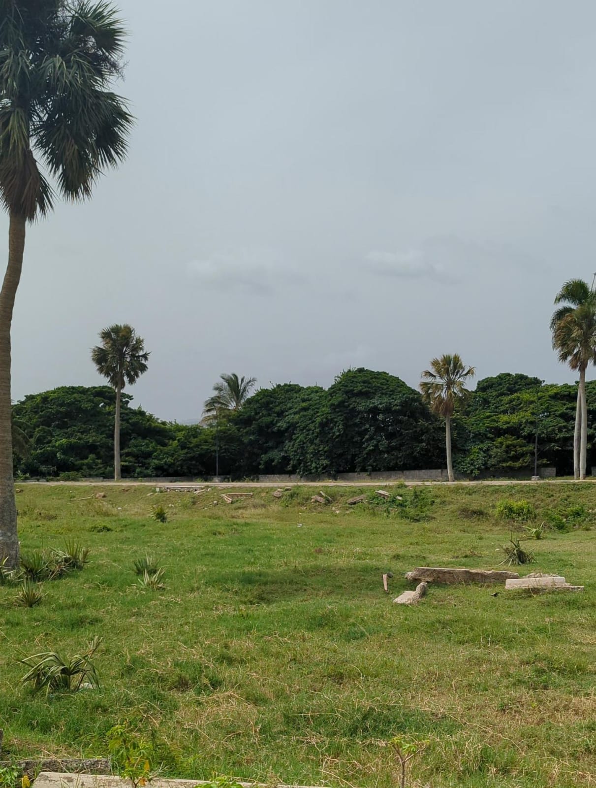 Solar en las Carmelitas