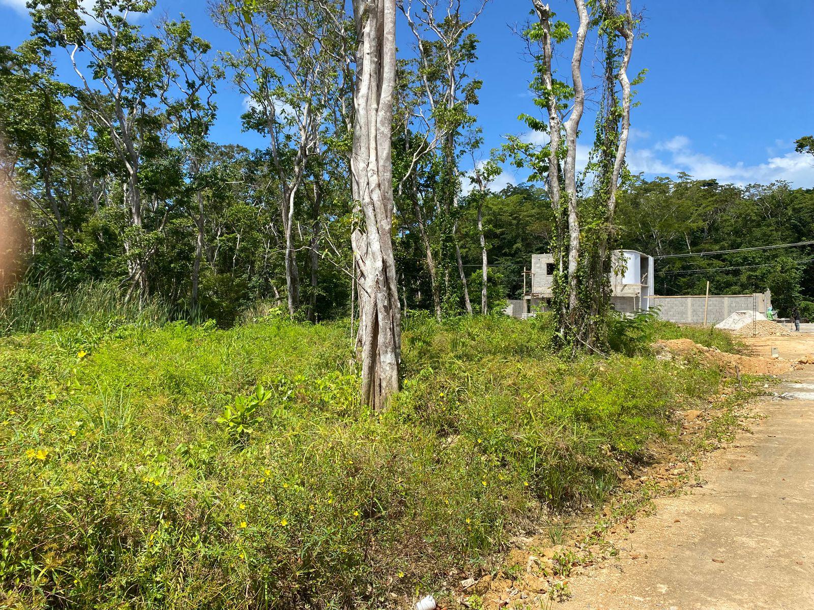 Terreno en Proyecto Las Arenas – Playa Punta Popi, Las Terrenas