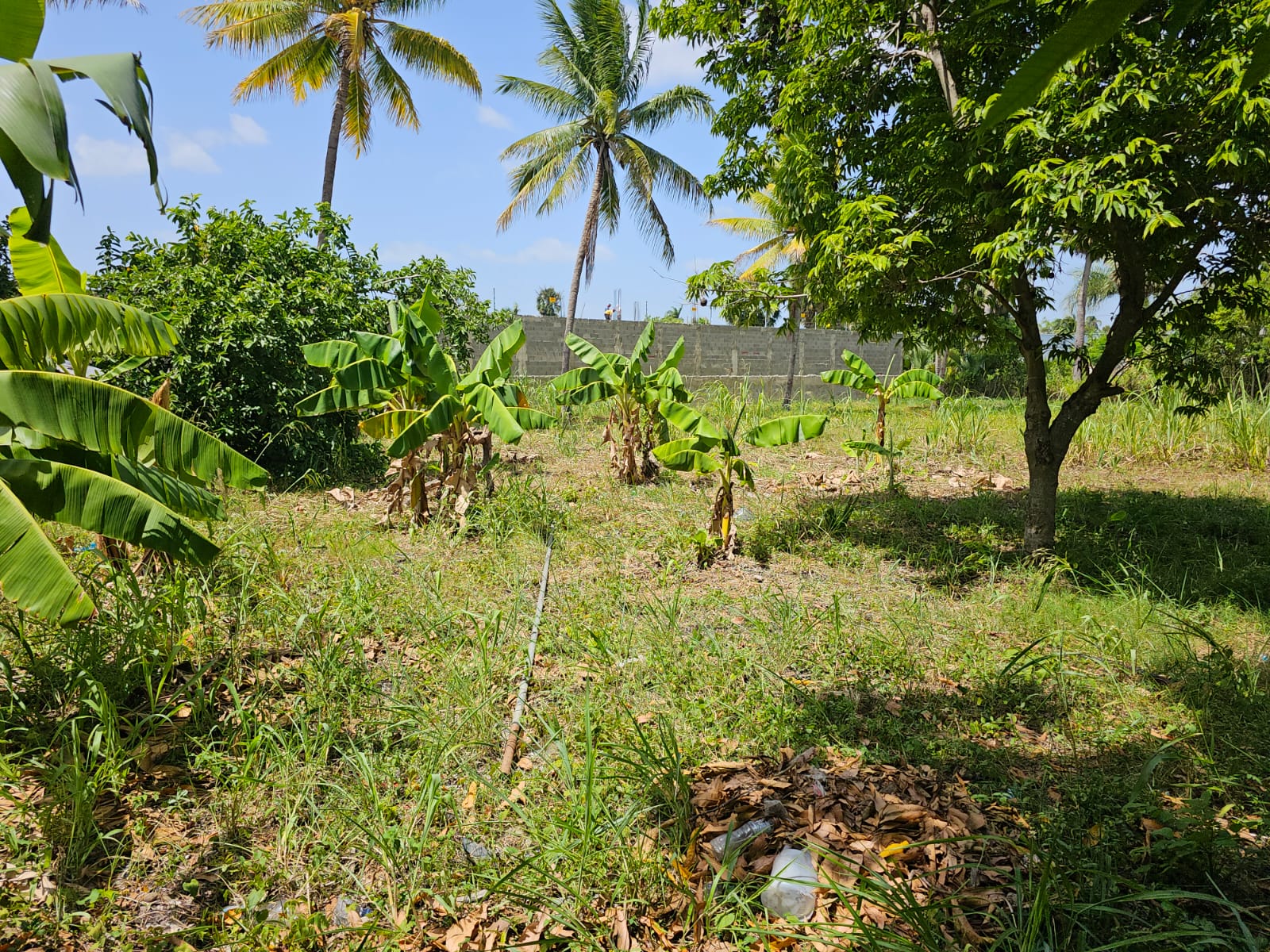Terreno en la Don Pedro, Santiago