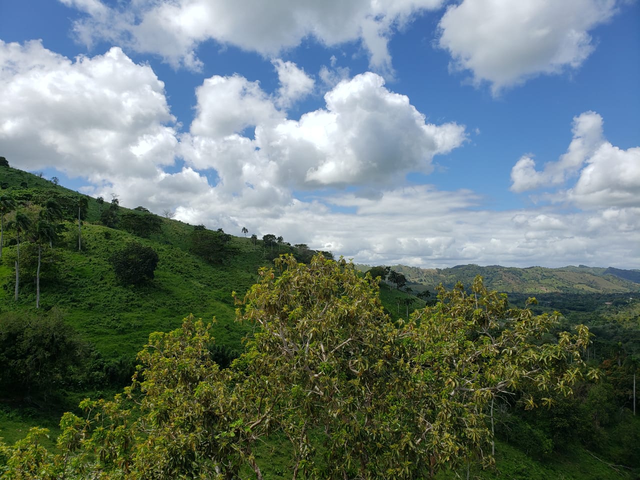 Impresionante finca para ganadería