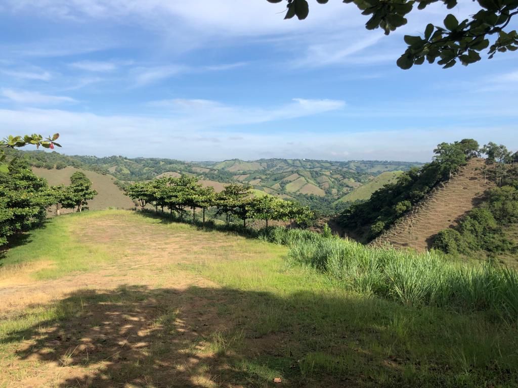 Solares en Jarabacoa