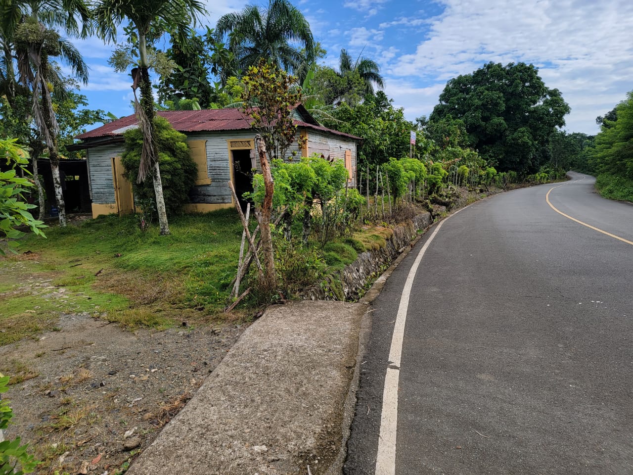 Finca de cacao de 136 Tareas con excelente acceso y productividad