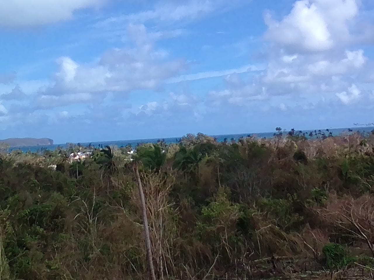 Vendo 33 Mil Mts2 de terreno en Samana para proyecto Turístico