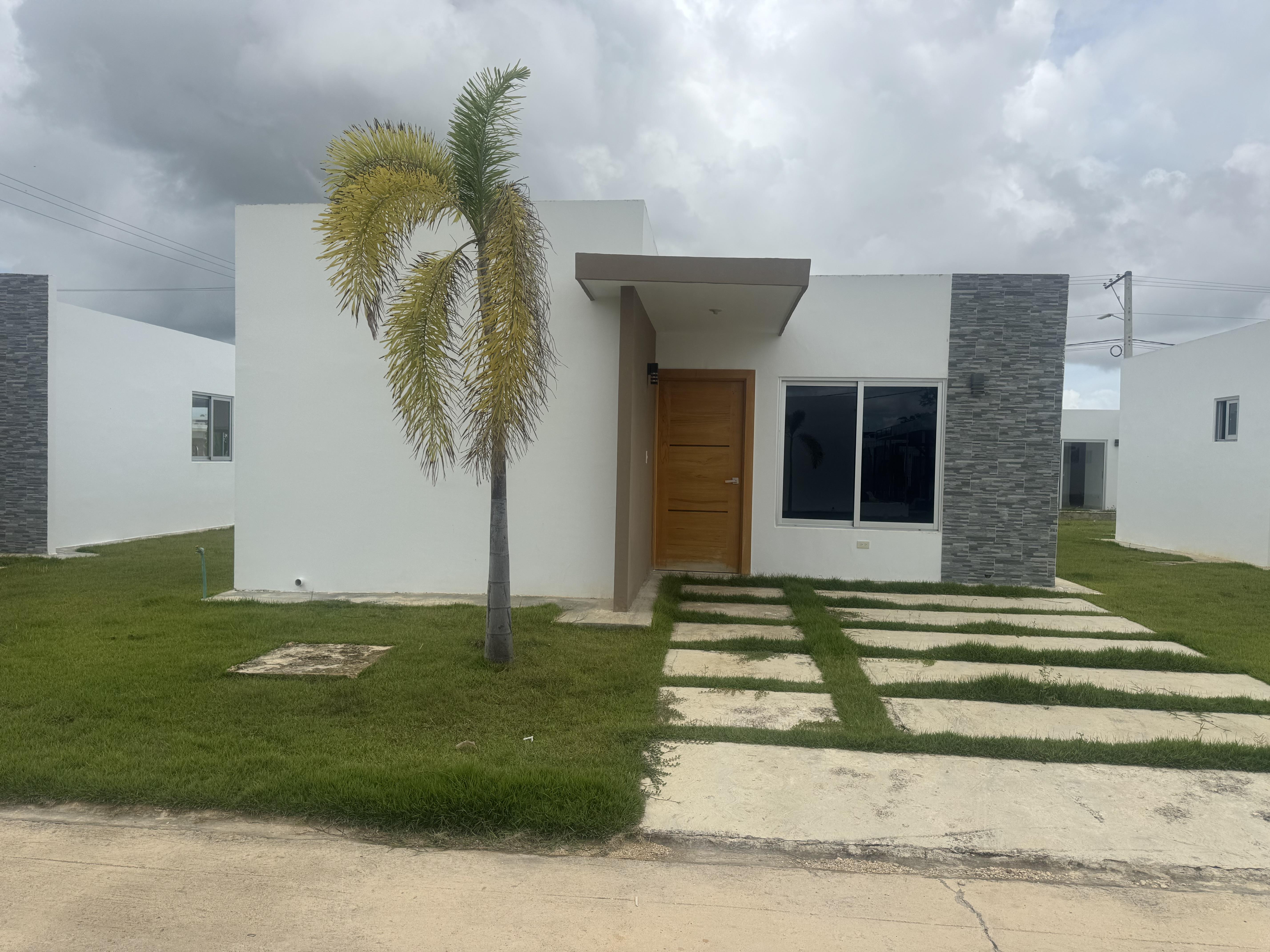 Vendo en primaveral III