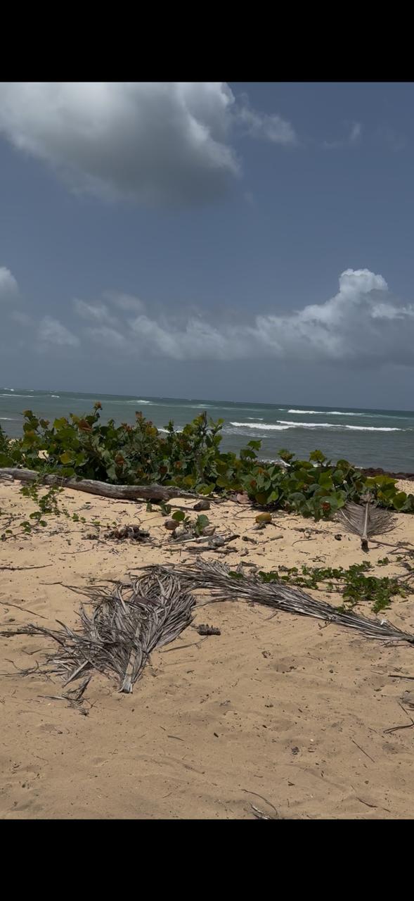 Solar en Bávaro, foto 3