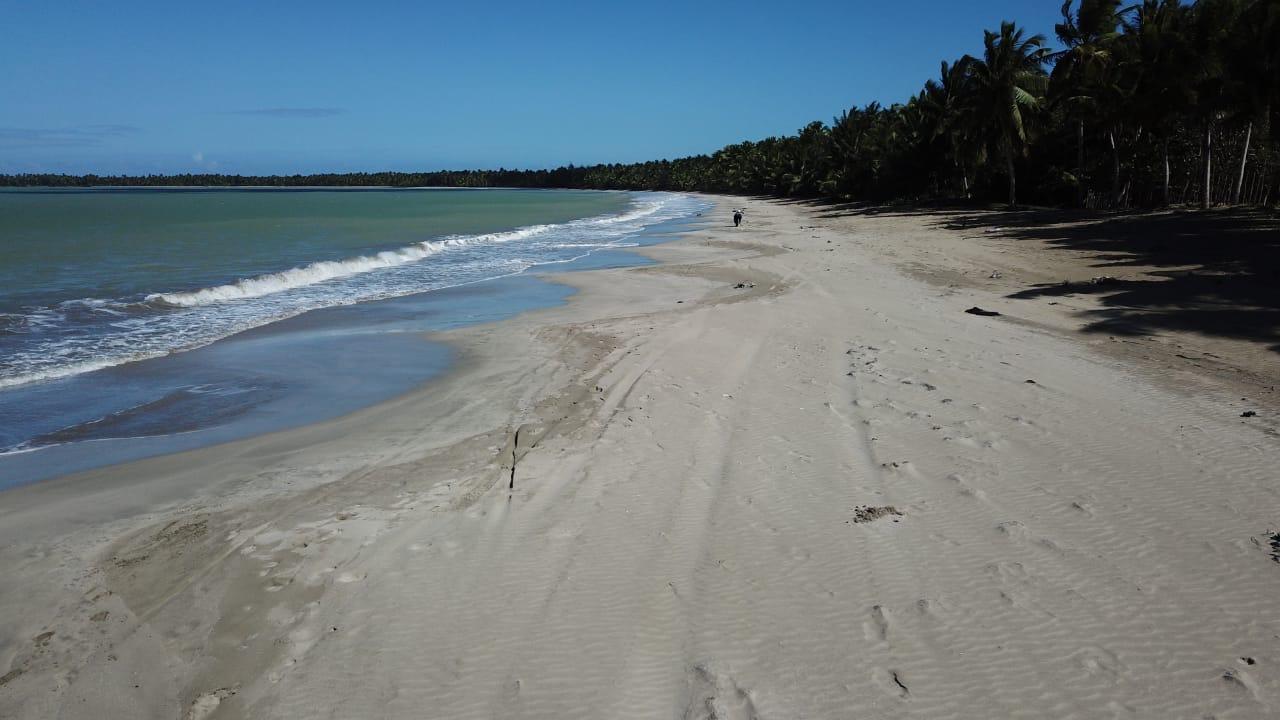 Terreno de playa en El limón, Miches , listo para proyecto Turístico