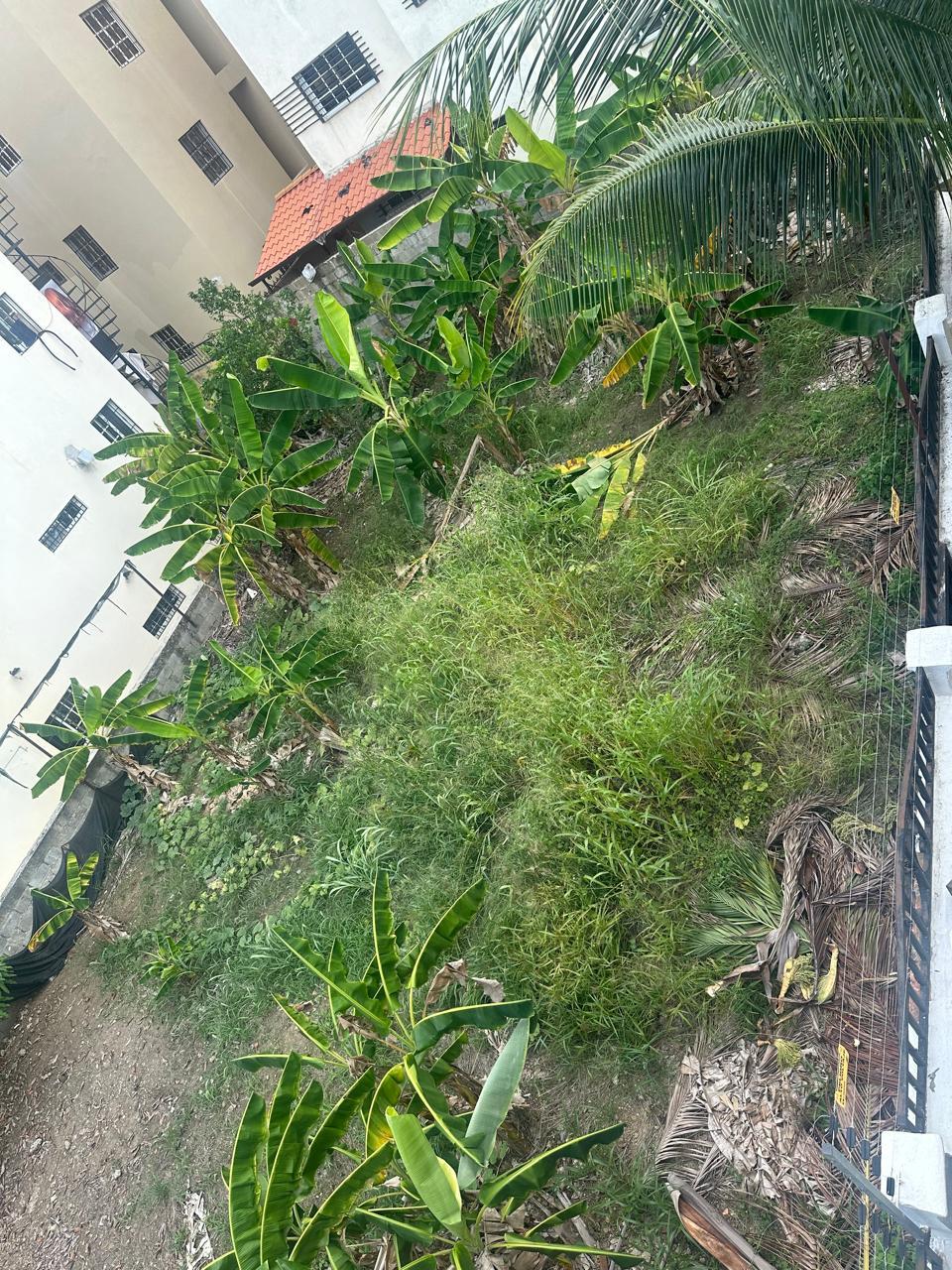 TERRENO DE OPORTUNIDAD DETRAS DEL HOMS