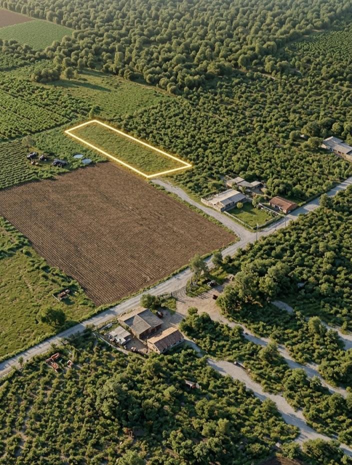 ¡Oportunidad de inversión en la zona de mayor desarrollo agrícola y logístico! 🌳💼