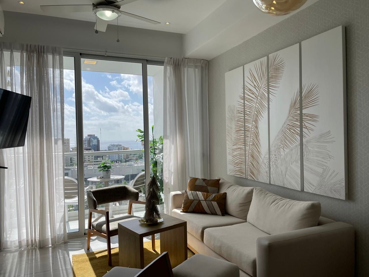 Apartment in Ensanche Naco