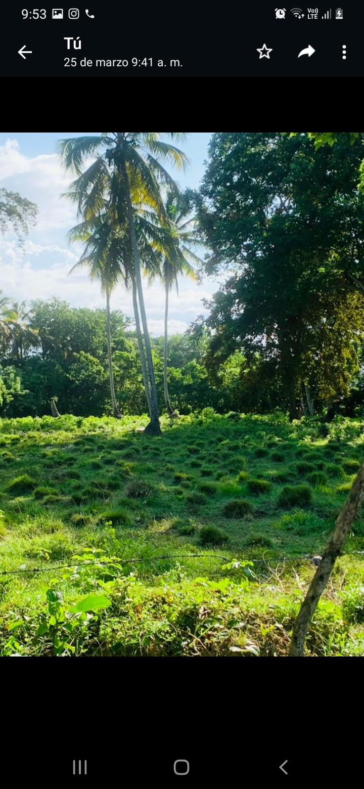 Finca en Nagua-Cabrera