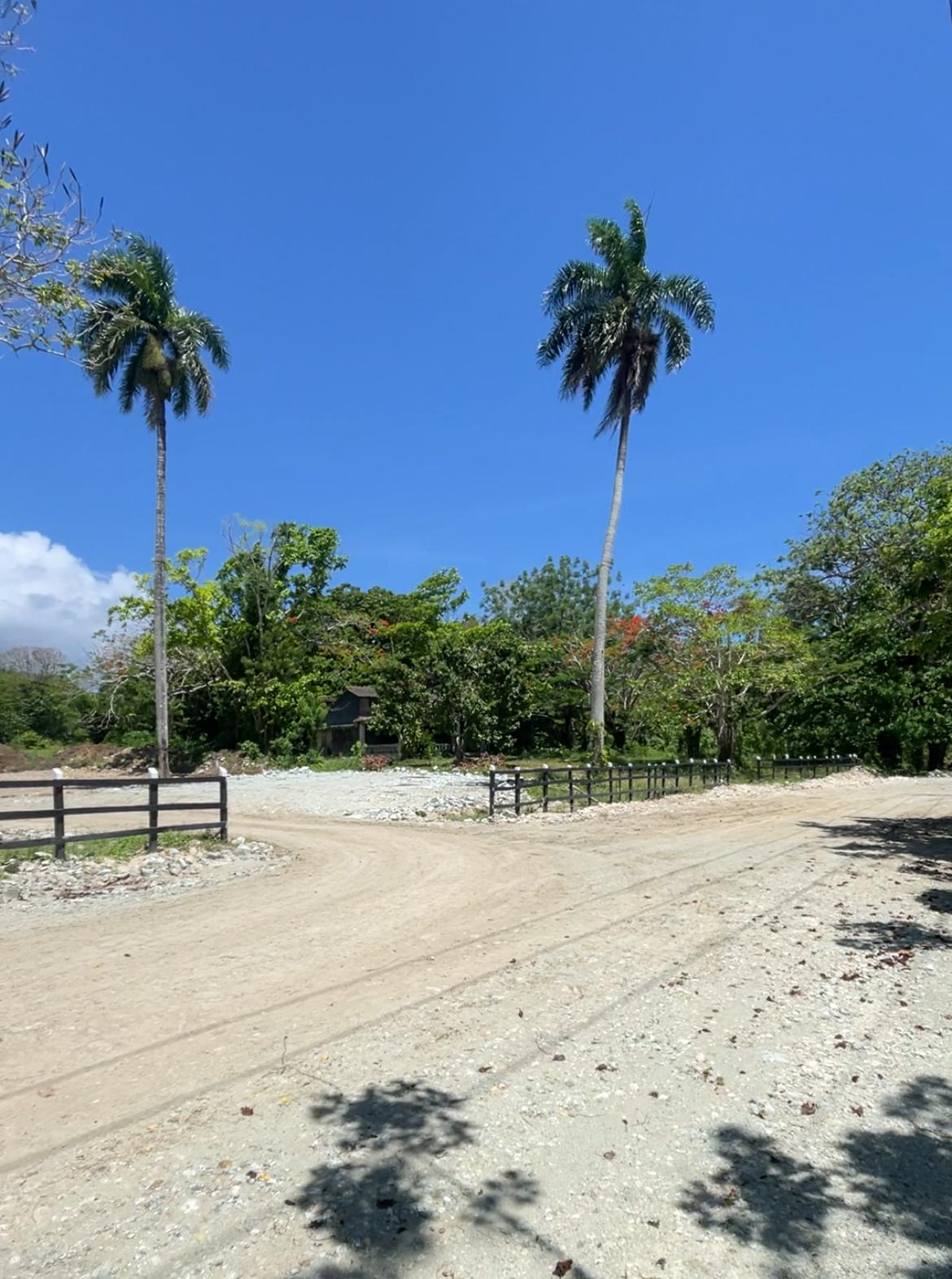 Lot in Playa Dorada
