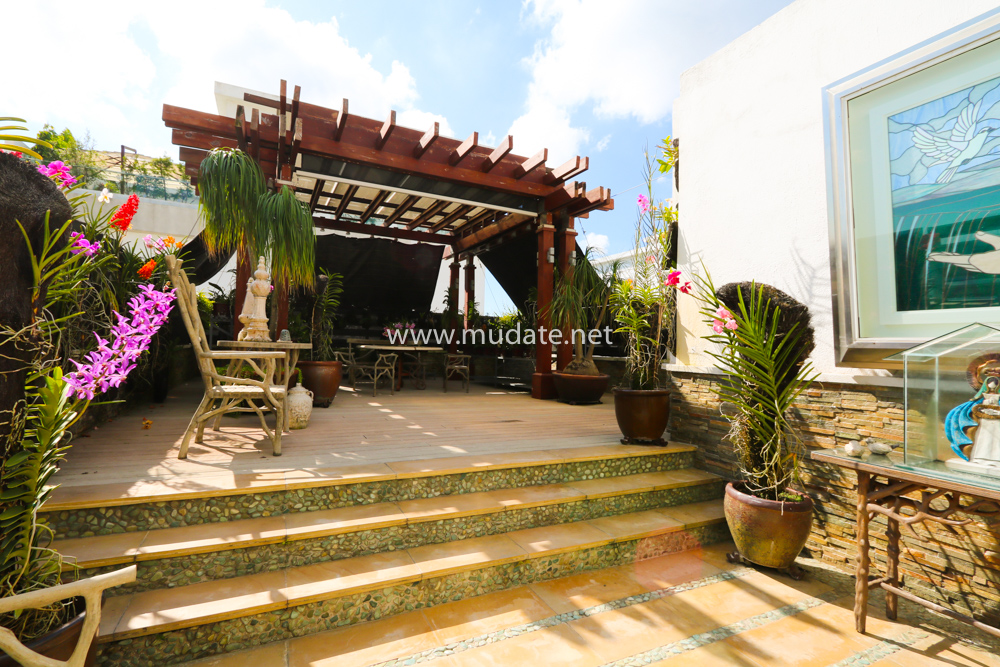 Property view 23