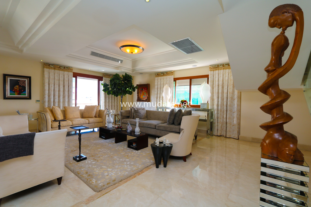 Property view 38