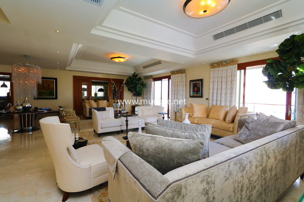 Property view 41