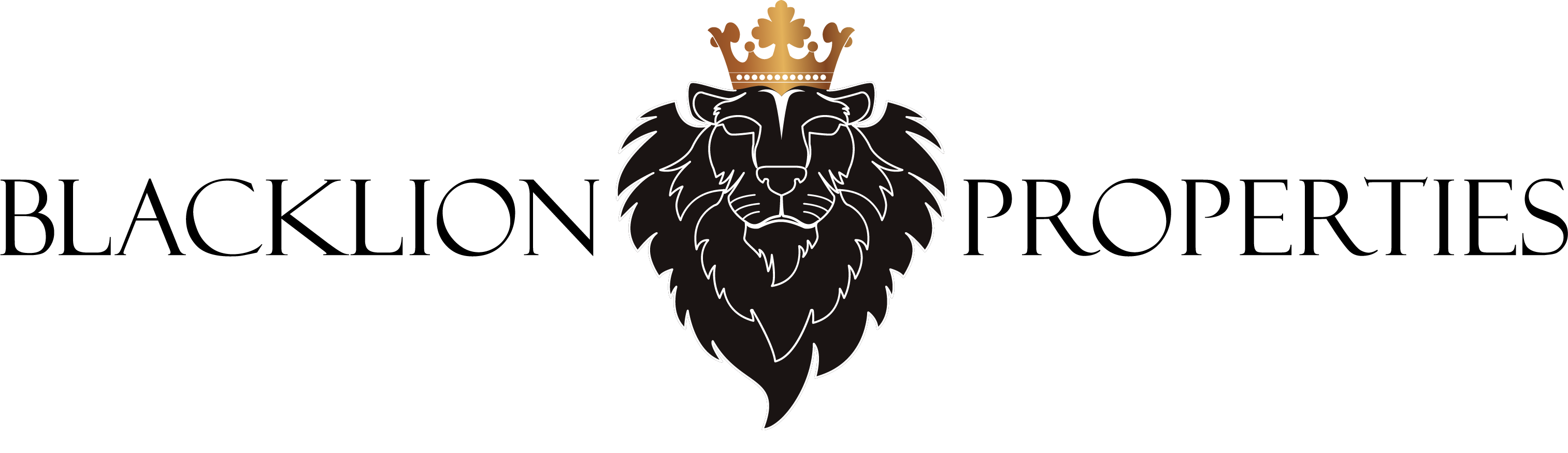 BLACKLION PROPERTIES