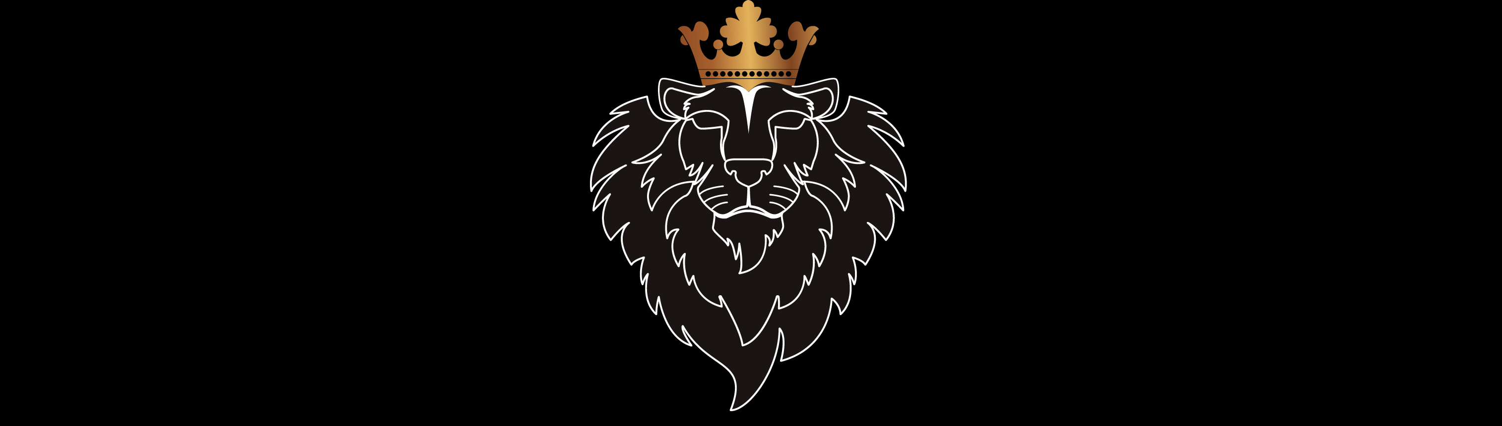 BLACKLION PROPERTIES