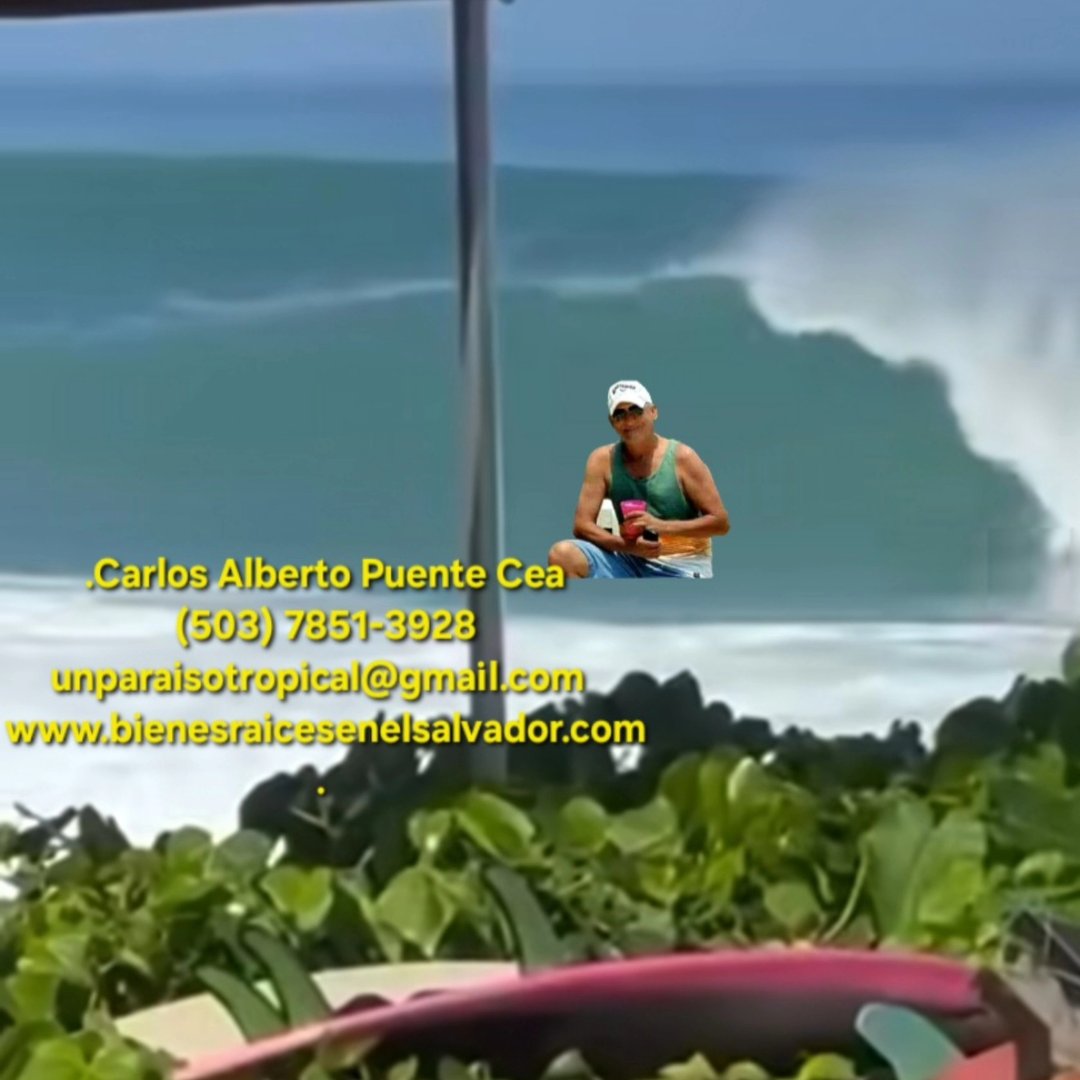 Carlos Alberto Puente Cea